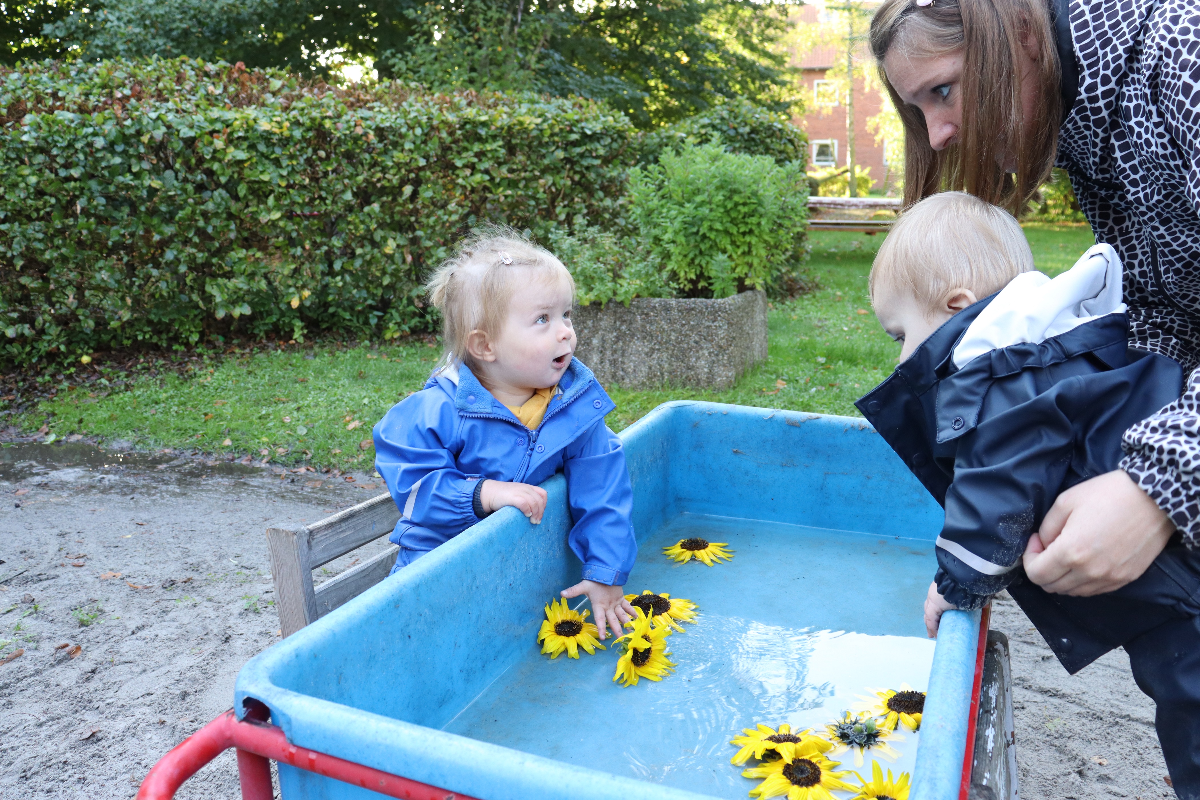 Pædagog holder barn, så han kan se vandet med blomster i, hvor et andet barn også står og kigger